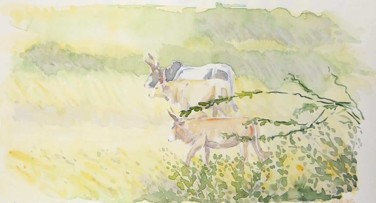 aquarelle.jpg