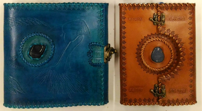 Carnets anyssia route blanche 1