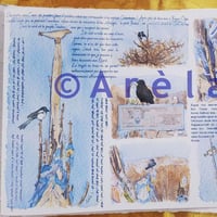 Oiseaux nord site