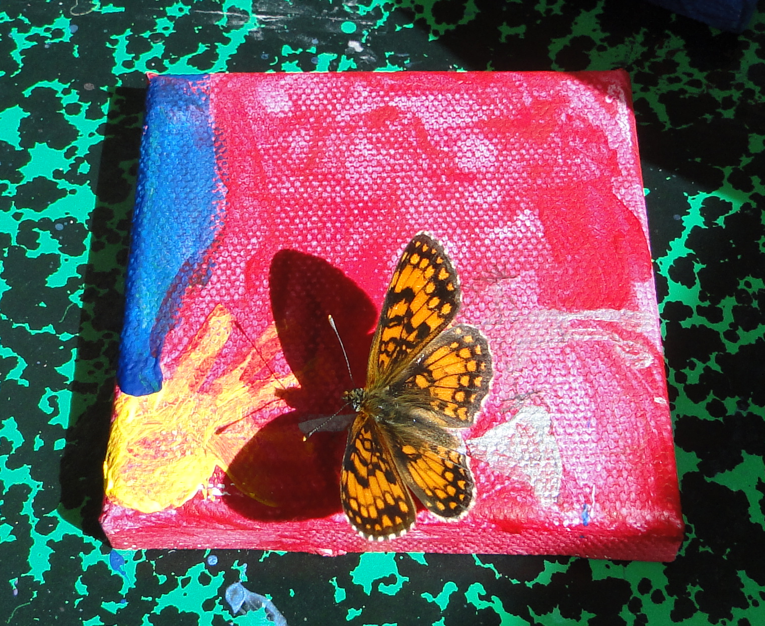 Papillon sur peinture2