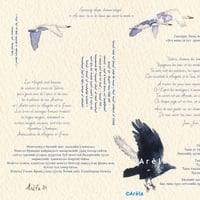 Prefaces fille du vent site